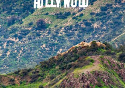 Hollywood Rental