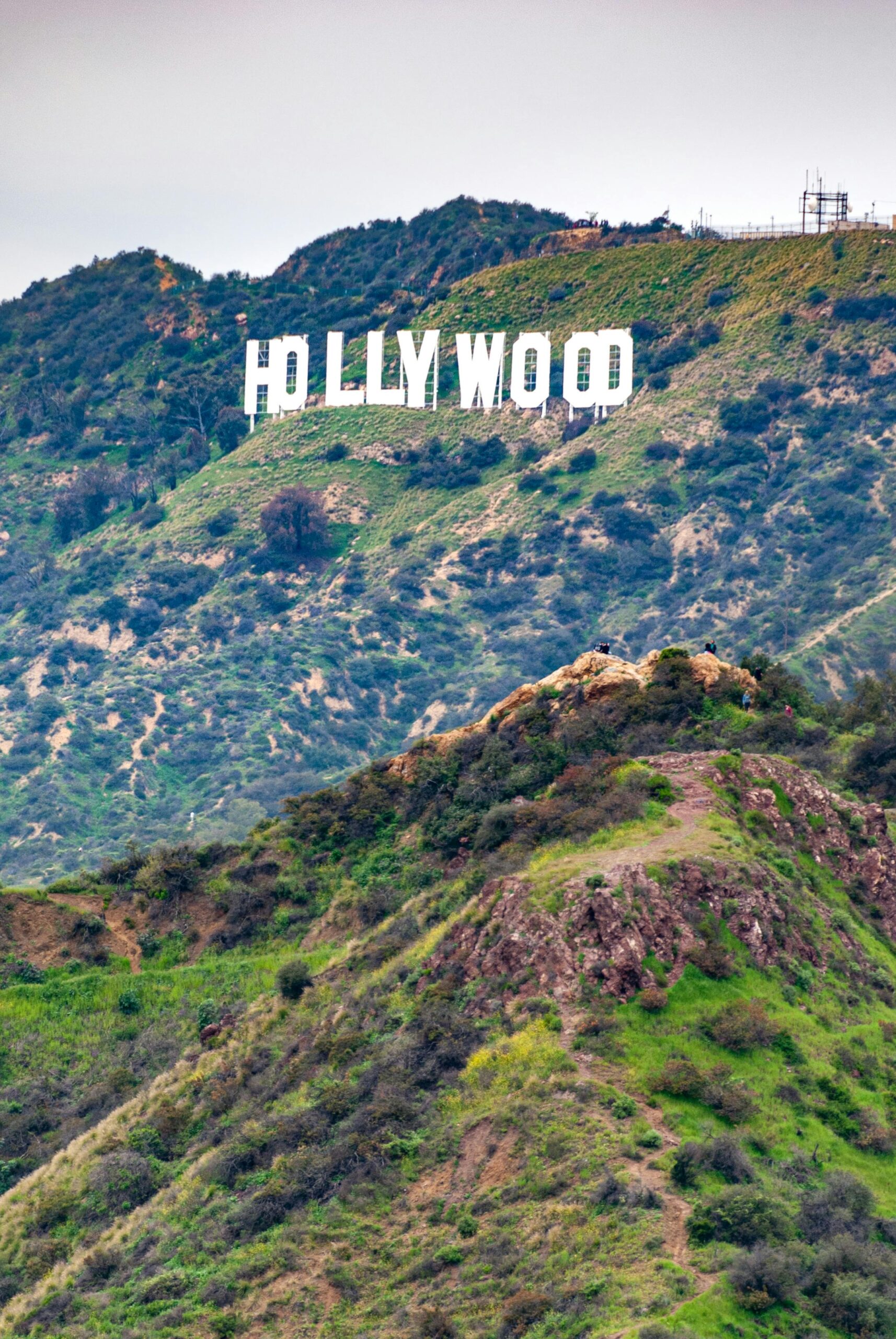 Hollywood Rental