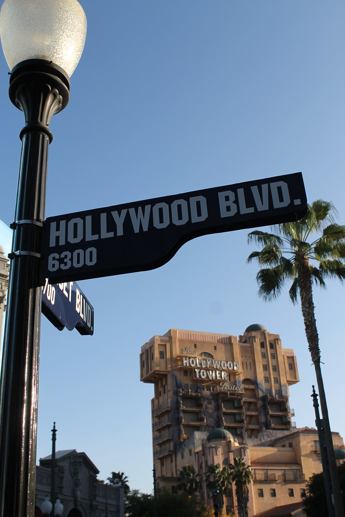 Hollywood Rental